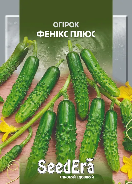 Огірок Фенікс Плюс