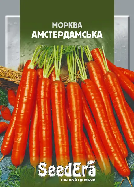 Морква Столова Амстердамська