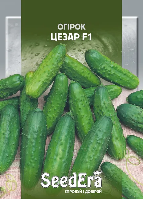 Огірок Цезар F1