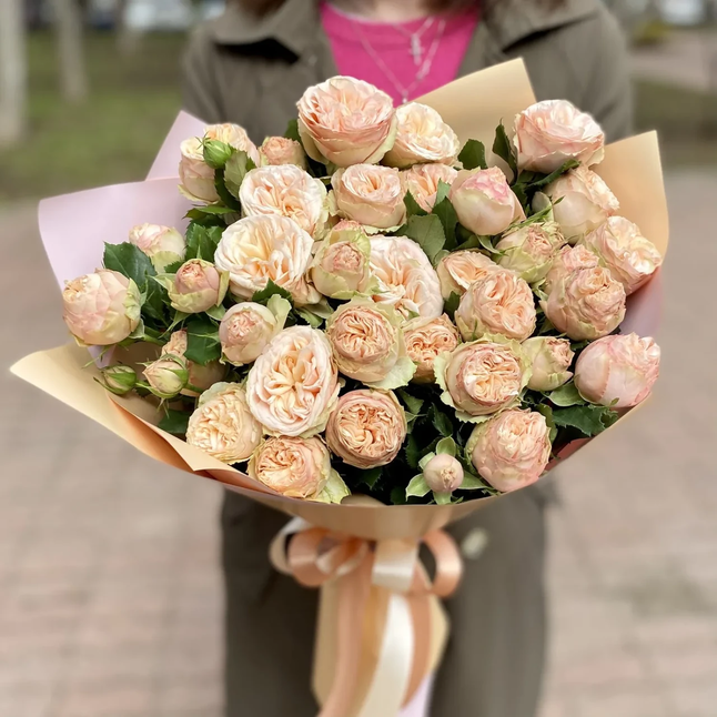 Троянда Джентл Трендсеттер ( рясне, безперервне цвітіння ) — Photo 1