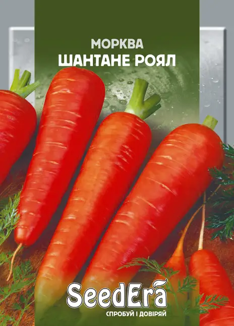 Морква Столова Шантане Роял