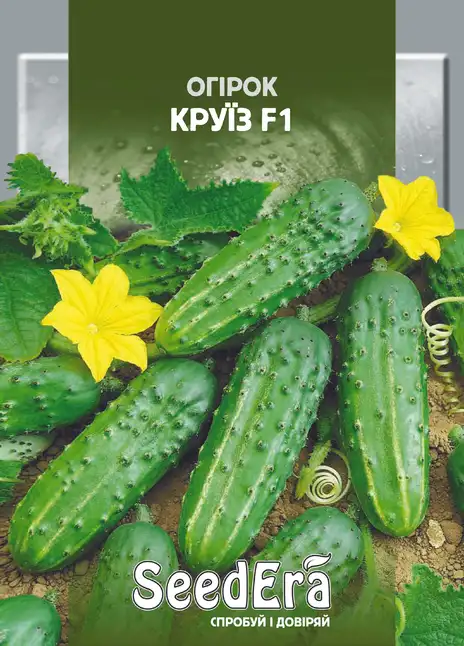 Огірок Круїз