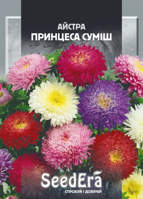 Айстра Високоросла Принцеса Суміш — Photo 1