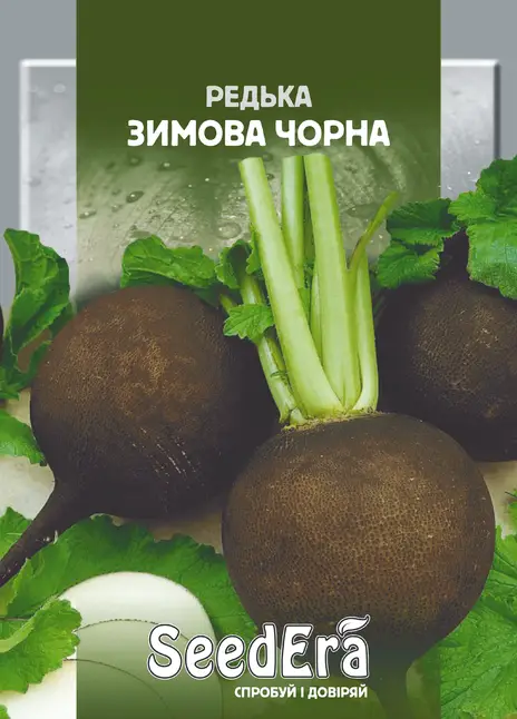 Редька Зимова Чорна — Photo 1