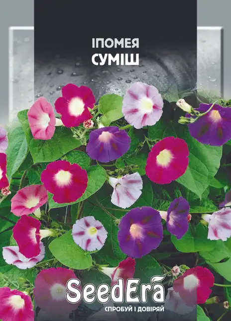 Іпомея Суміш — Photo 1