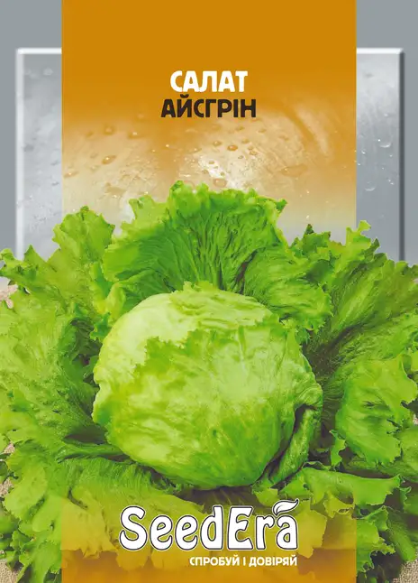 Салат Айсгрін (качанний)