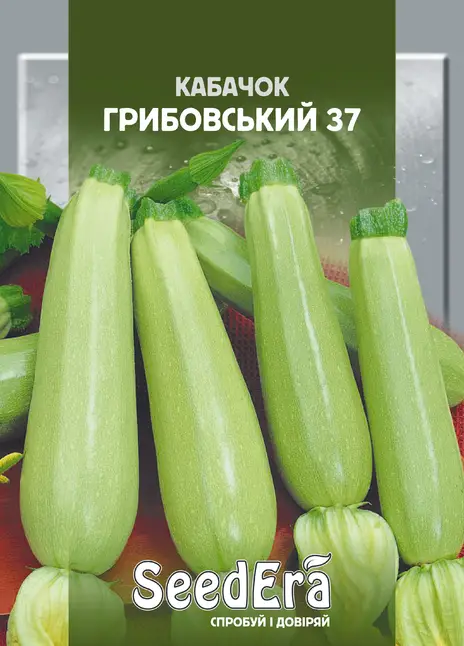 Кабачок Грибовський 37