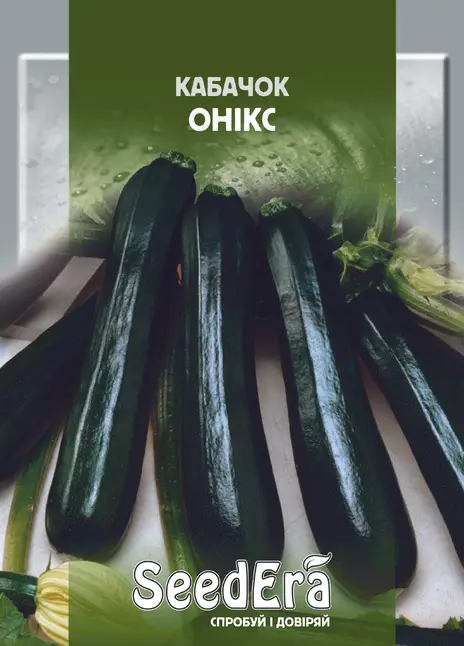 Кабачок Онікс