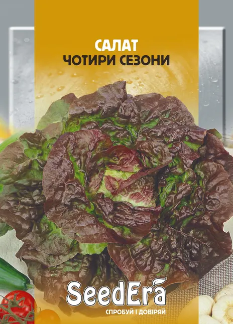 Салат Чотири Сезони