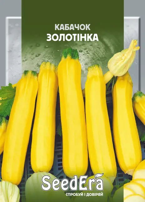 Кабачок Золотінка
