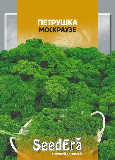 Петрушка Москраузе (кучерява) — Photo 1