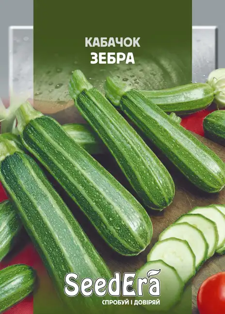 Кабачок Зебра