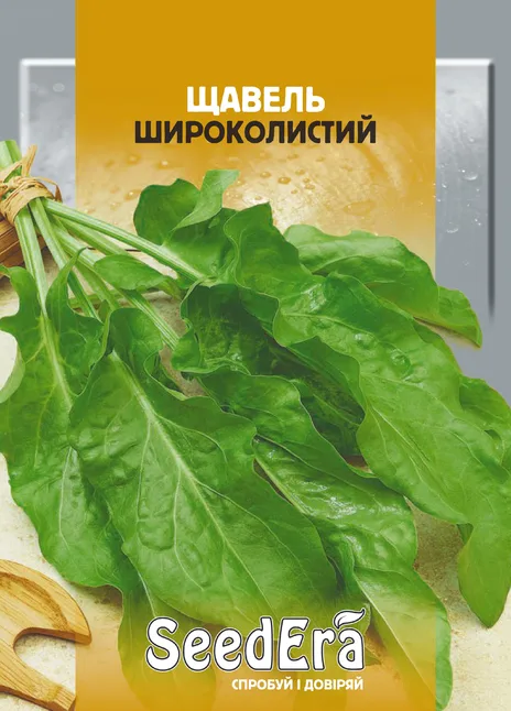 Щавель Широколистий
