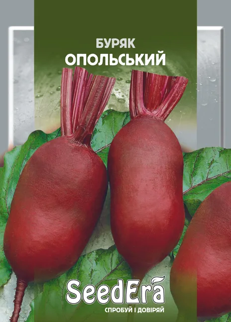Буряк Столовий Опольський