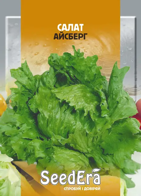 Салат Айсберг (качанний)