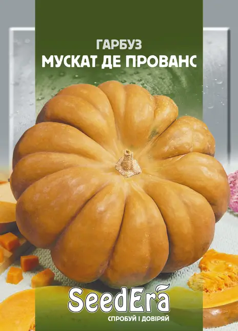 Гарбуз Мускат де Прованс