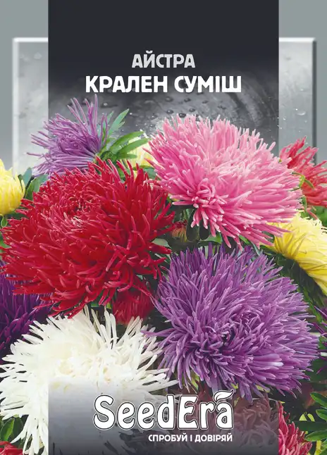 Айстра Високоросла Крален Суміш — Photo 1