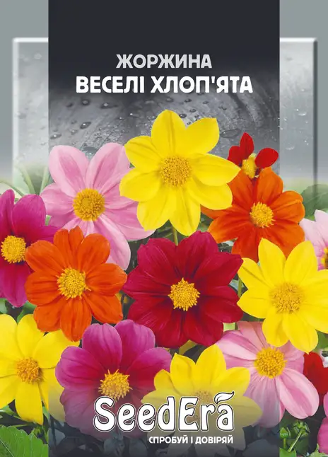 Жоржина Мінлива Веселі Хлоп’ята — Photo 1