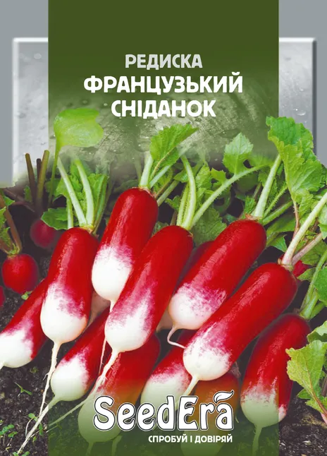 Редиска Французький Сніданок