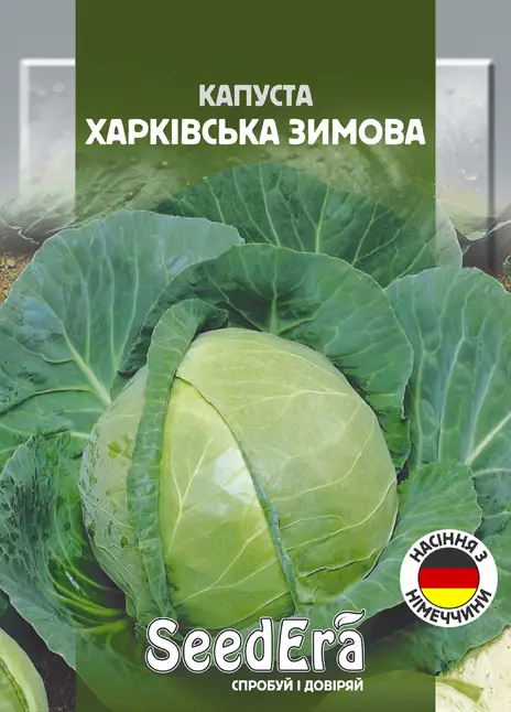 Капуста Білоголова Харківська Зимова
