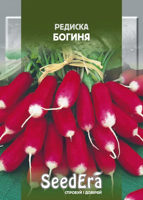Редиска Богиня