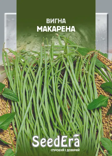 Квасоля Китайська Вигна Макарена