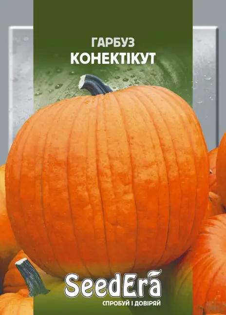Гарбуз Конектікут