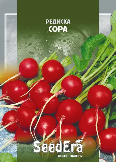 Редиска Сора
