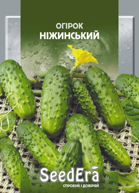 Огірок Ніжинський