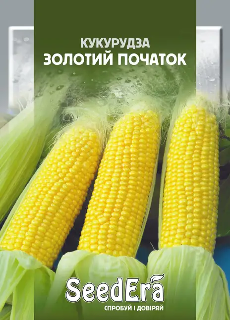 Кукурудза Золотий Початок
