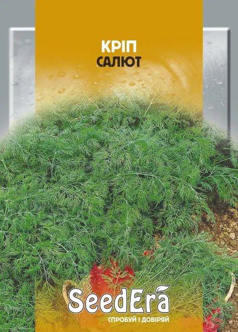 Кріп Салют