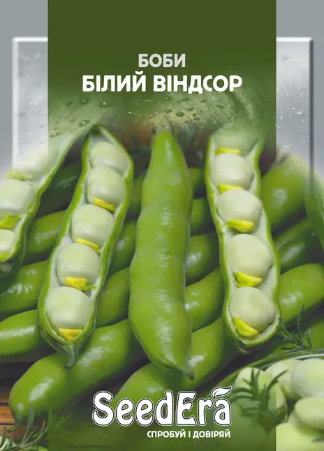Боби Білий Віндсор