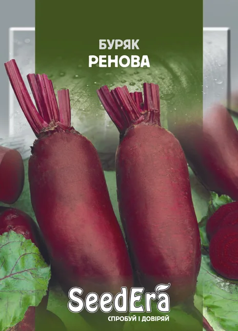 Буряк Столовий Ренова