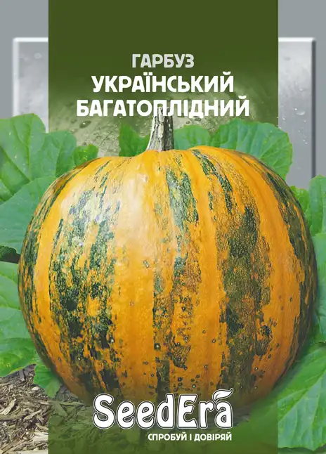 Гарбуз Український Багатоплідний