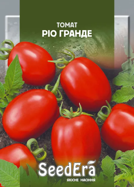 Томат Ріо Гранде
