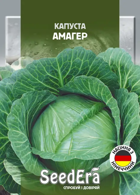 Капуста Білоголова Амагер