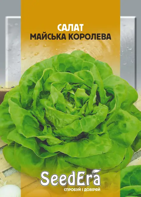 Салат Майська Королева — Photo 1