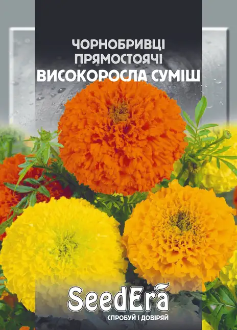 Чорнобривці Прямостоячі Високоросла Суміш — Photo 1