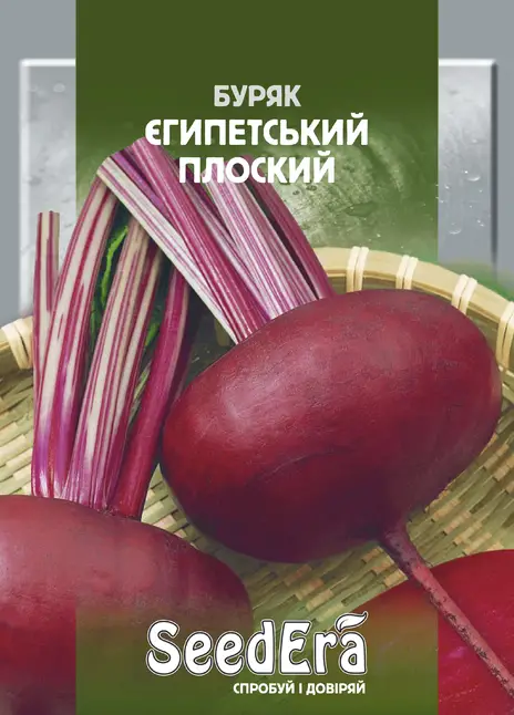 Буряк Столовий Єгипетський Плоский