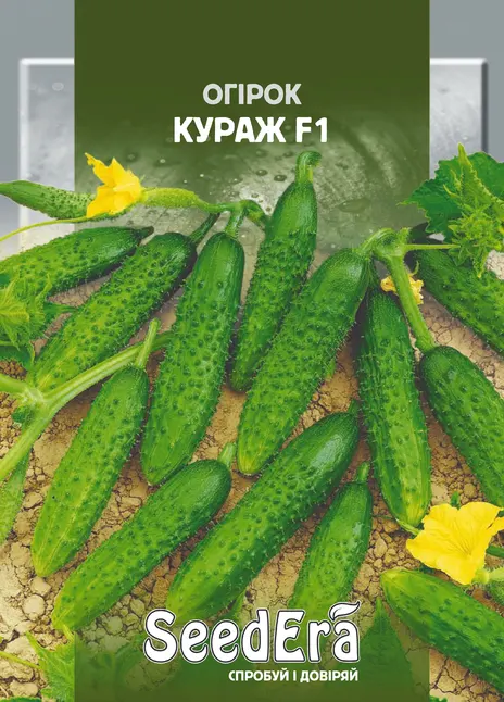 Огірок Кураж F1