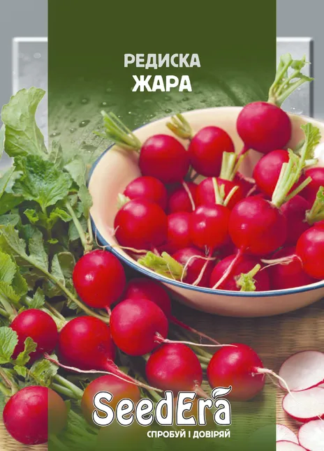 Редиска Жара
