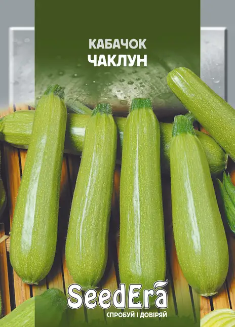 Кабачок Чаклун
