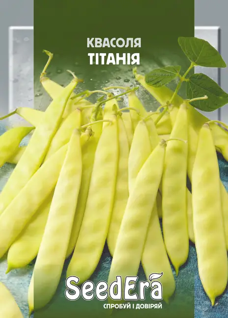 Квасоля Спаржева Кущова Тітаня