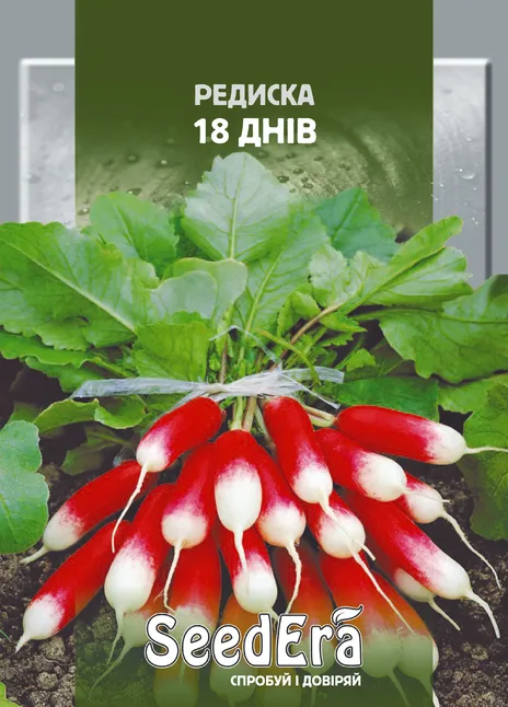 Редиска 18 днів