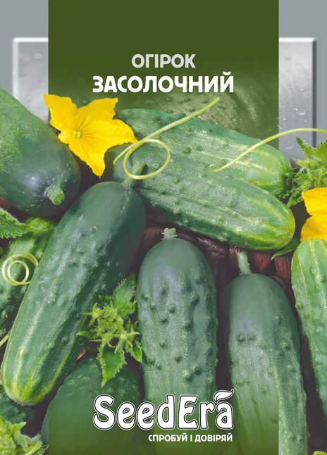 Огірок Засолочний