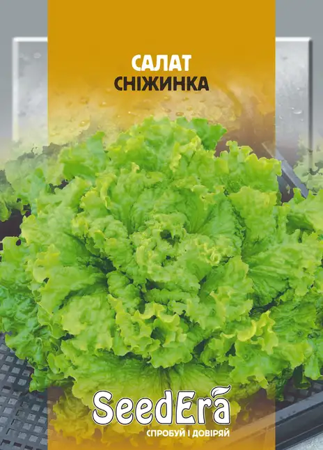 Салат Листовий Сніжинка