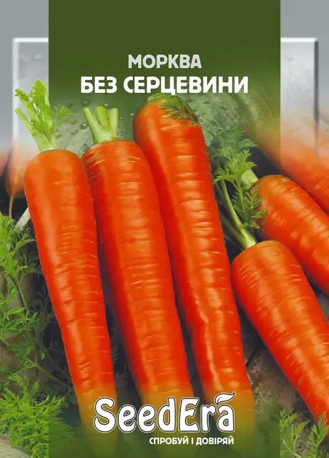Морква Столова Без Серцевини