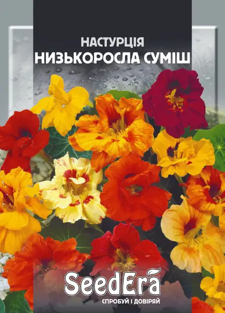 Настурція Культурна Низькоросла Суміш — Photo 1
