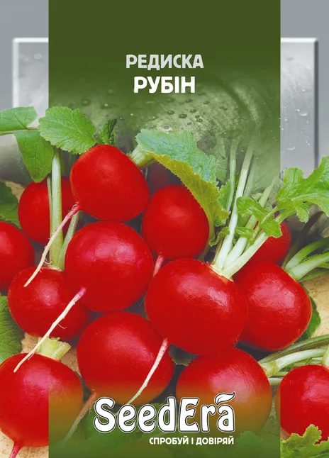 Редиска Рубін