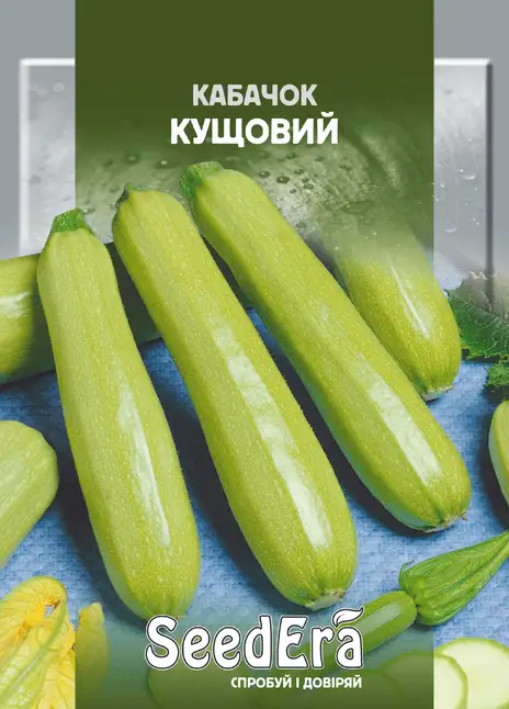 Кабачок Кущовий